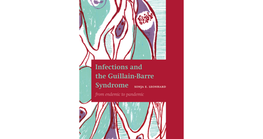 Coverfoto (kleur) proefschrift Infections and the Guillain-Barre Syndrome